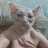 @КорешХипХоп