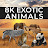 8K Exotic Animals