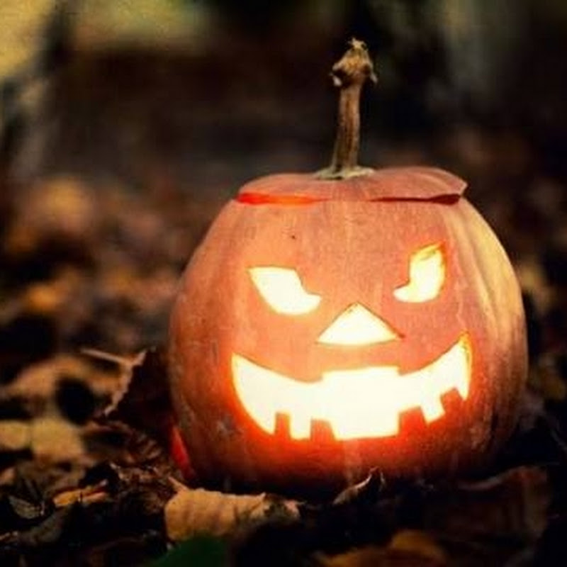 Bí Ngô huyền bí