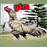 PqqMEQ2uve4-channel-avatar-Ytm Reddy Farming Channel 99%