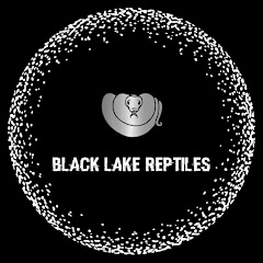 Black Lake Reptiles 