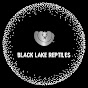Black Lake Reptiles 