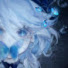 7bFMhTNMlqs-channel-avatar-XxBlueButterflyxX