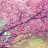 @칭찬해드림