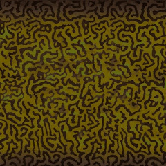 Wallace & Norman #SaveUkraine // 50thCenturyFoxTV net worth