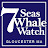 7 Seas Whale Watch