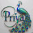 @Priya-f7q2f