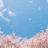 @아름다운숲길