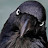 @mdkos's avatar