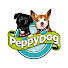 9RxMriHwSbs-channel-avatar-PeppyDog