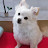 @모모-j7z