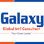 Galaxy Global International Consultant logo