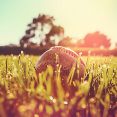 秋山翔吾1アイコン画像