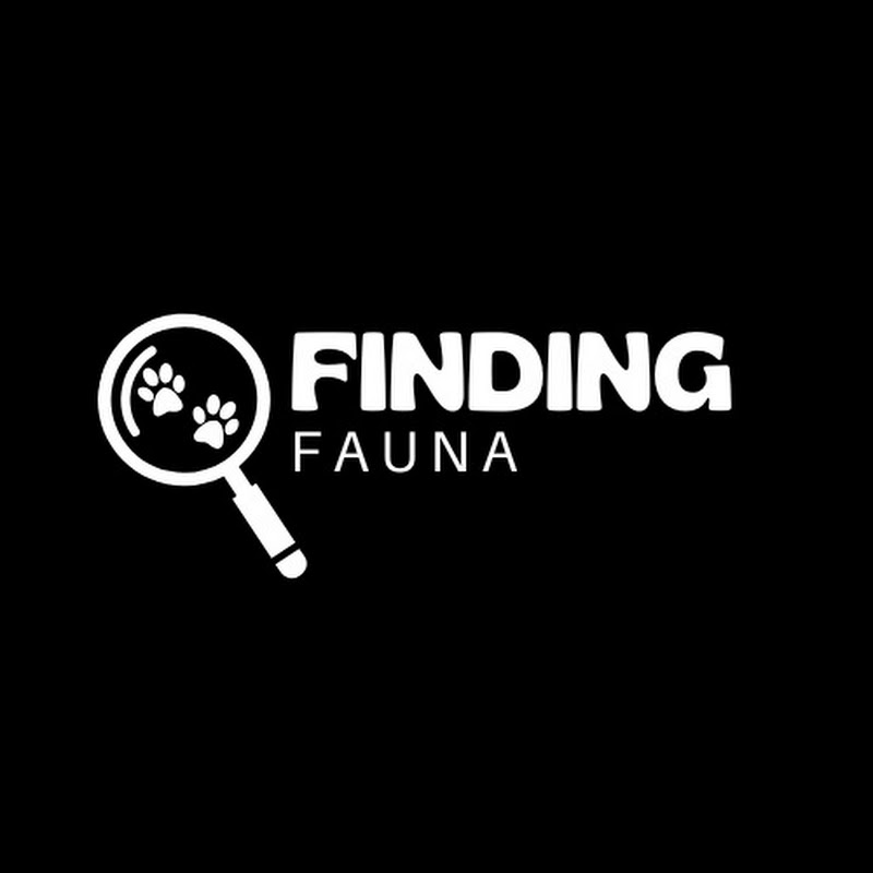 Finding Fauna