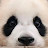 @bearcatpunch