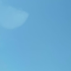 잉어국밥라디오