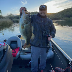 The Bassassin