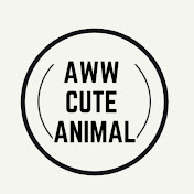 AWW CUTE ANIMAL
