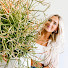 1IhcsaADze8-channel-avatar-House Plus Plant