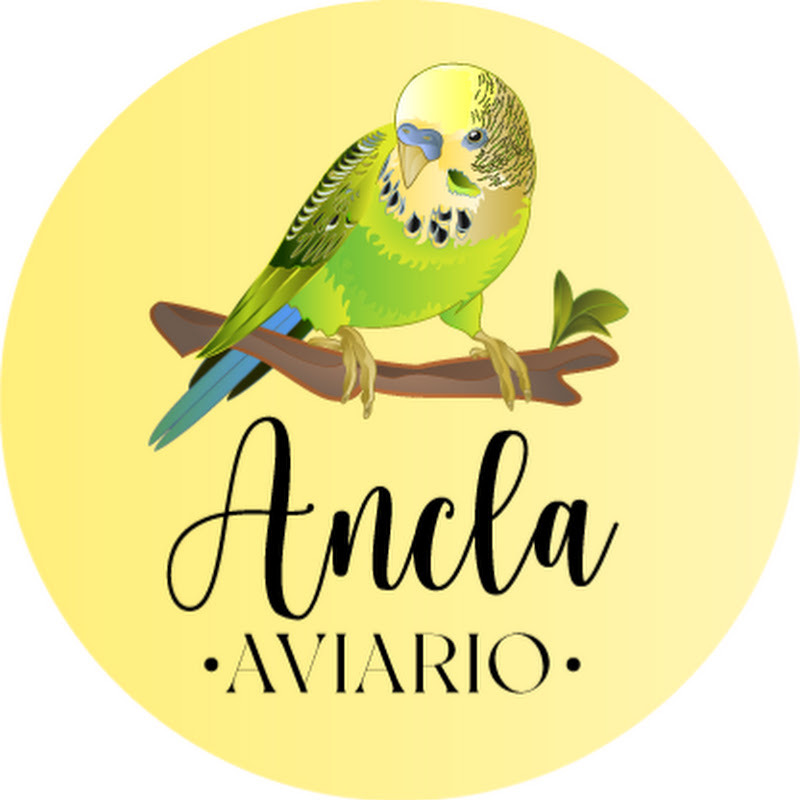 Periquitos Ancla
