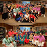 x-wLORqwkUk-channel-avatar-Gov Christian Church Campbellfield 
