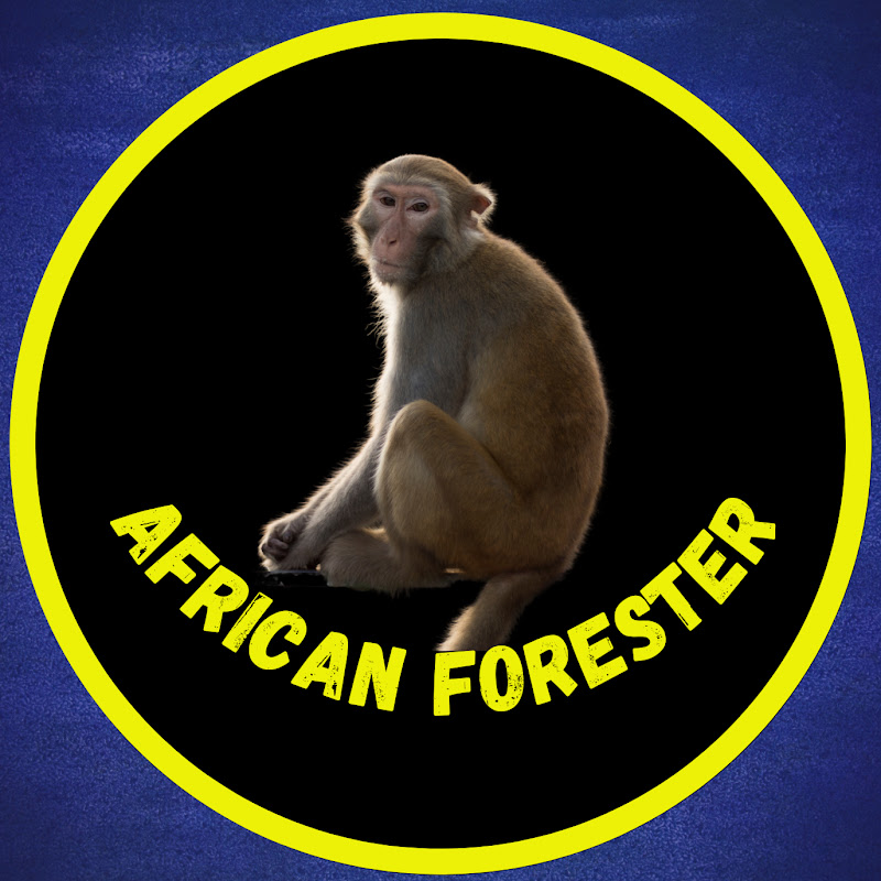 Channel Avatar