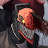 nvskCkfeMrA-channel-avatar-Quietuss
