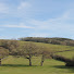 Raglan Parc