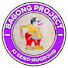 qDVjlikZh-A-channel-avatar-BAGONG Project