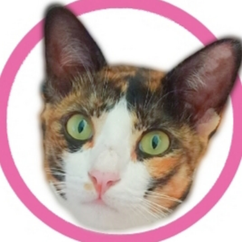 JejacatFamily(花花)🌺🌿