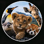 zootopet 