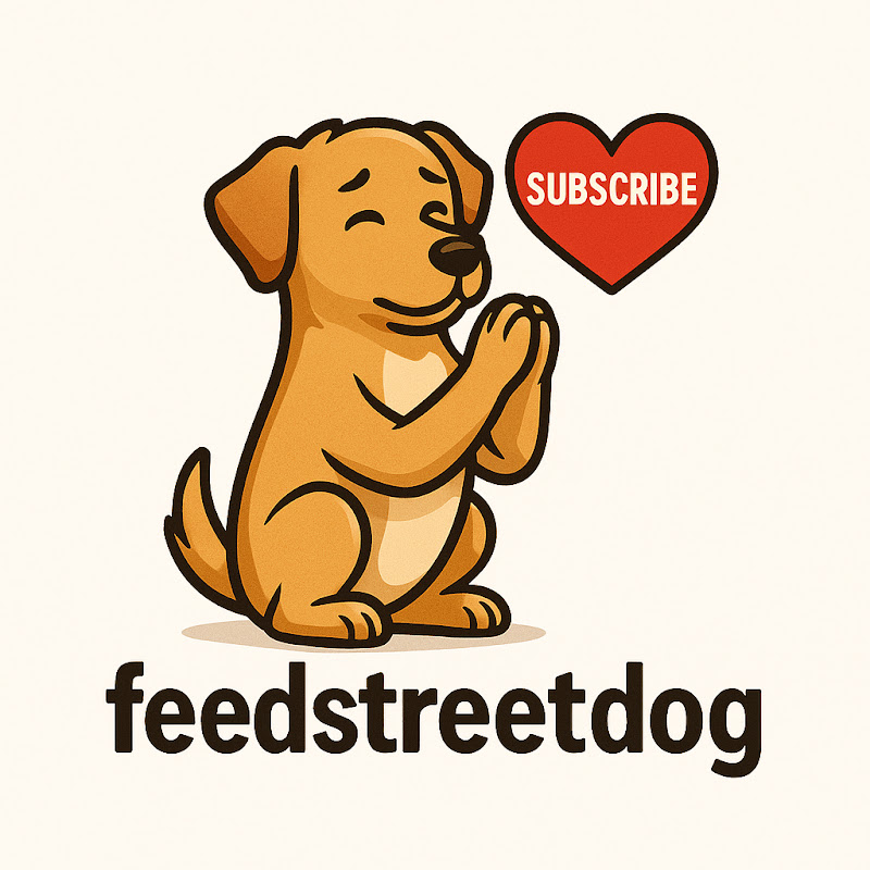 Feed Street Dog 🐕
