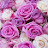 @youssra4115