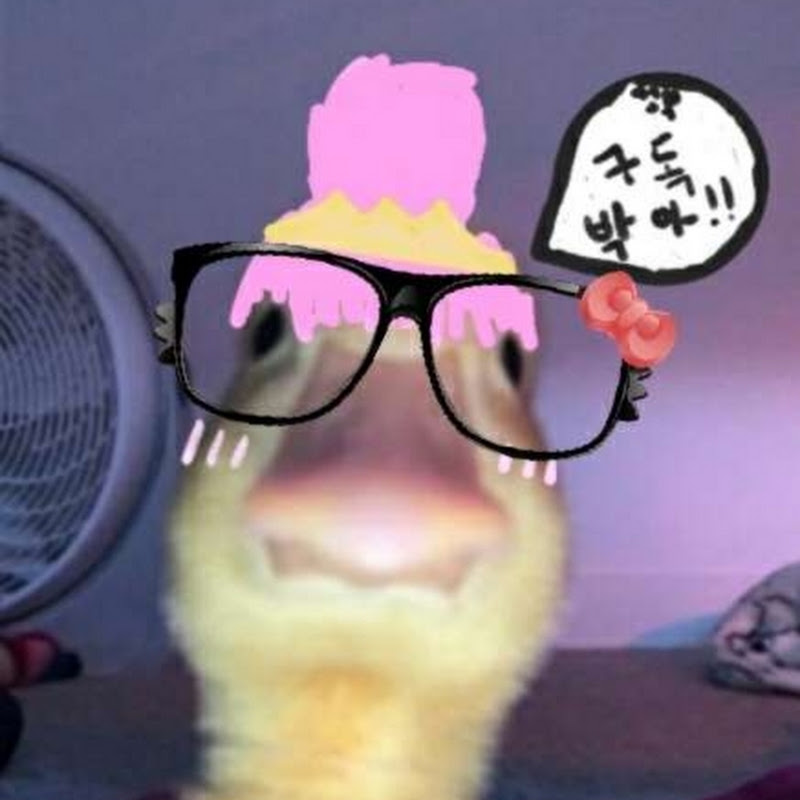 세은파파