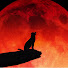 p6oDDdq5E-E-channel-avatar-Wolf ch