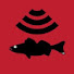 p2lL2BQcWTs-channel-avatar-Markem Catchem