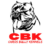 Chaos Bully Kennels