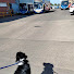 t8O8R5ny5QY-channel-avatar-pacer chaser