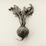 G7RIugtccmg-channel-avatar-BEET songs