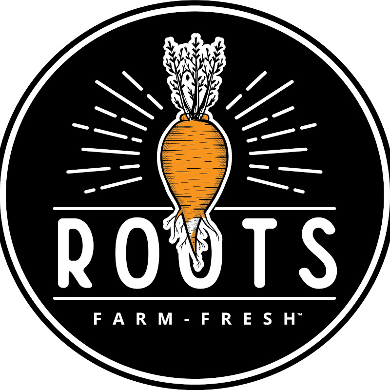 Roots Farm Fresh - Seed Oil Free Fries 