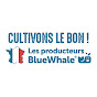 Les fruits des producteurs de Blue Whale logo