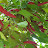 @장금TV-dp5ho