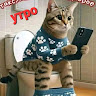 Автор