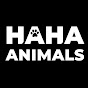 Haha Animals