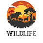  WildLife JD logo