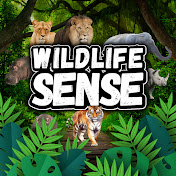 Wildlife Sense