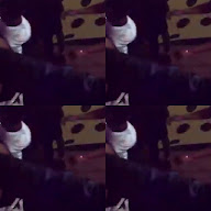 thumbnail img1x1
