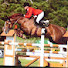 Gyqiygjq48M-channel-avatar-Showjumping Videos