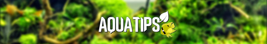 AquaTips YouTube channel avatar