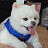 @오타니홈런왕